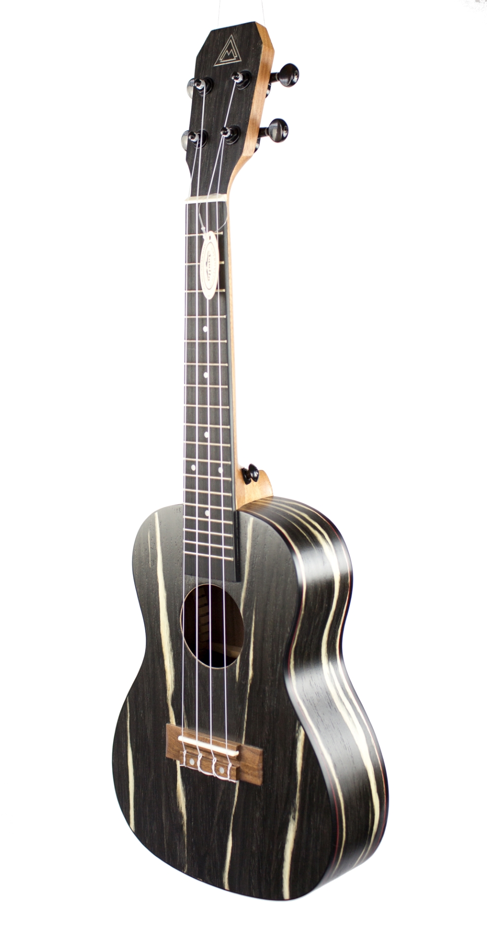 Around Music Instrument Okapi Concert Ukulele